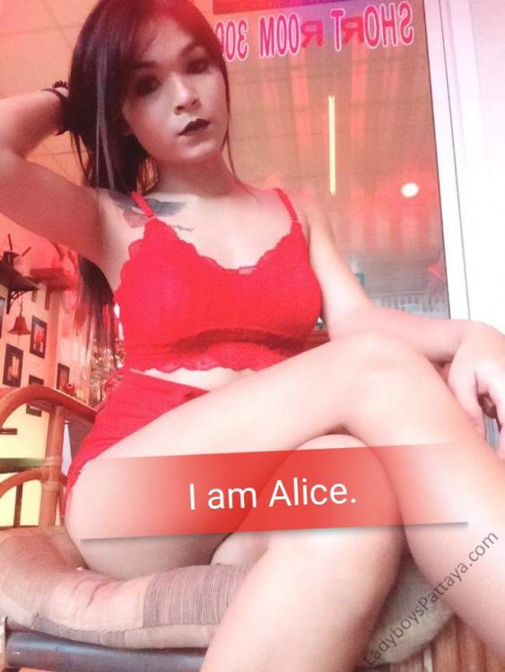 alice2.jpg