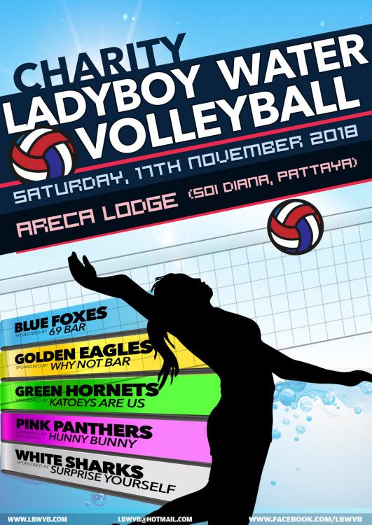 LBWVB-POSTER-2018-1.jpg