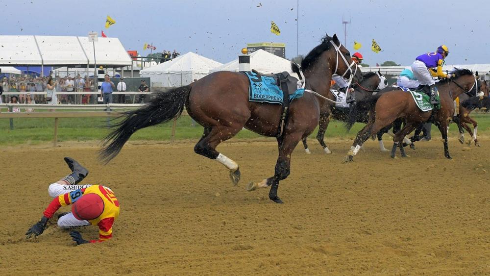 preakness.jpg