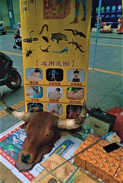26533774-8163761-A_traditional_medicine_stall_at_Dongguan_market_in_southern_Chin-a-2_1585443805365.jpg