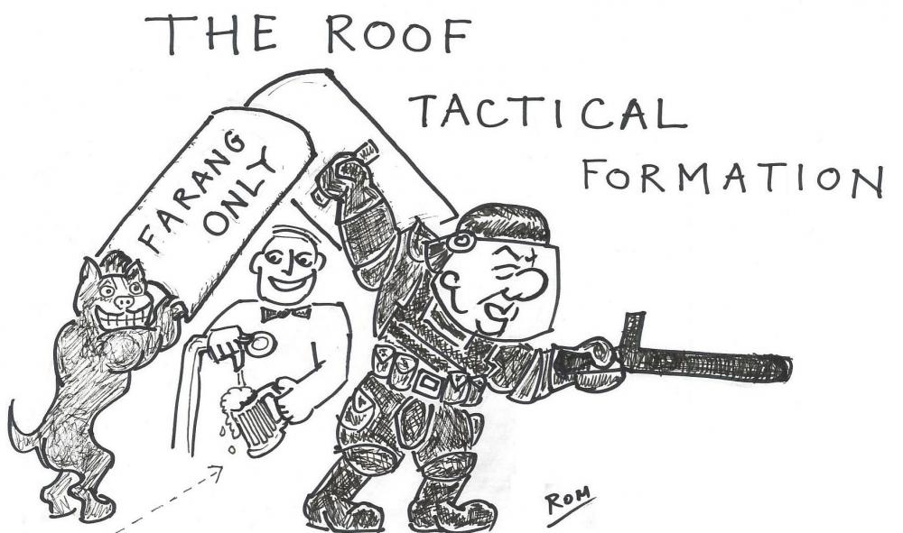 theroof.thumb.jpg.fc697daf397aefa3b3fe1b92d67b4a31.jpg