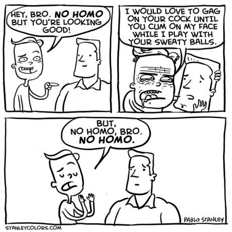 Gay_09_No_Homo.jpg.147214bb6f8f4df8a9c6ef0c2749e778.jpg