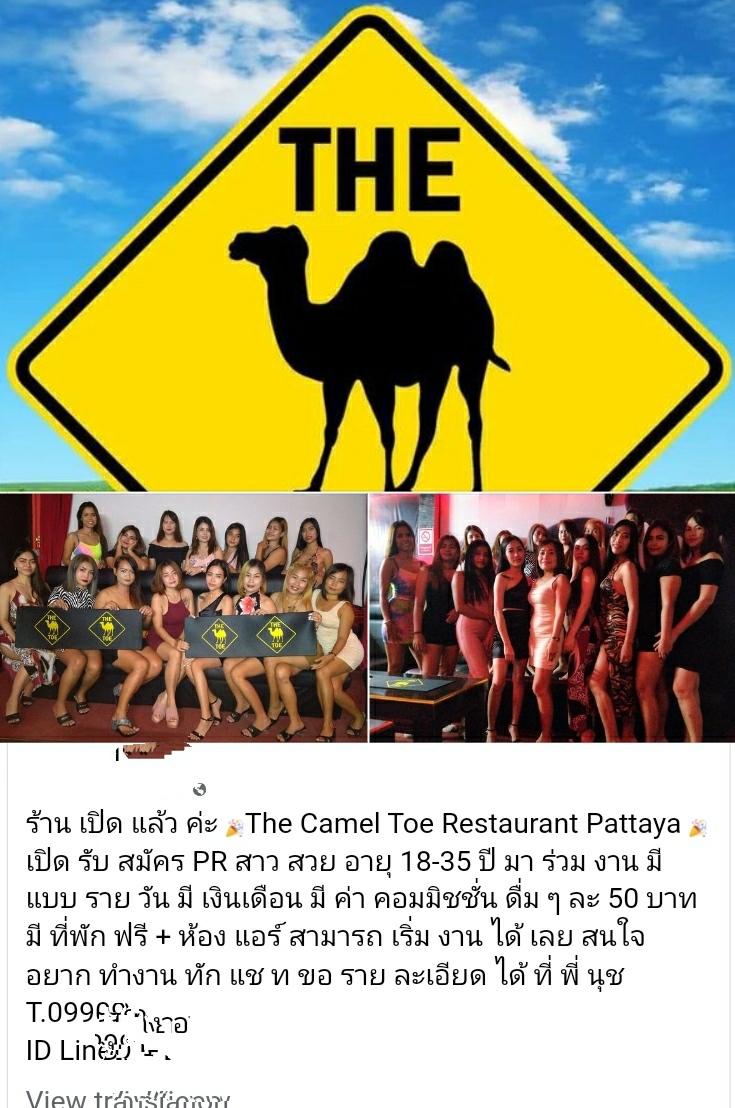 Camel.jpg.eb70fbb19e27392ac4a4dab235470499.jpg