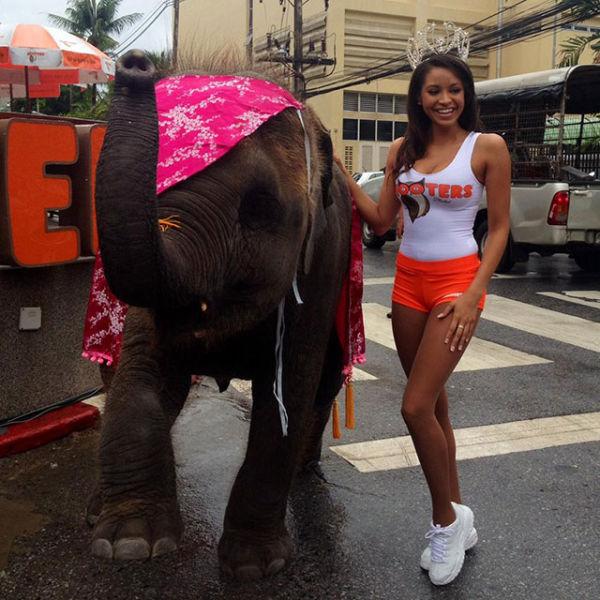 hooters_girls_18.jpg.97c776dc61243c2c72c9e507481dd66d.jpg